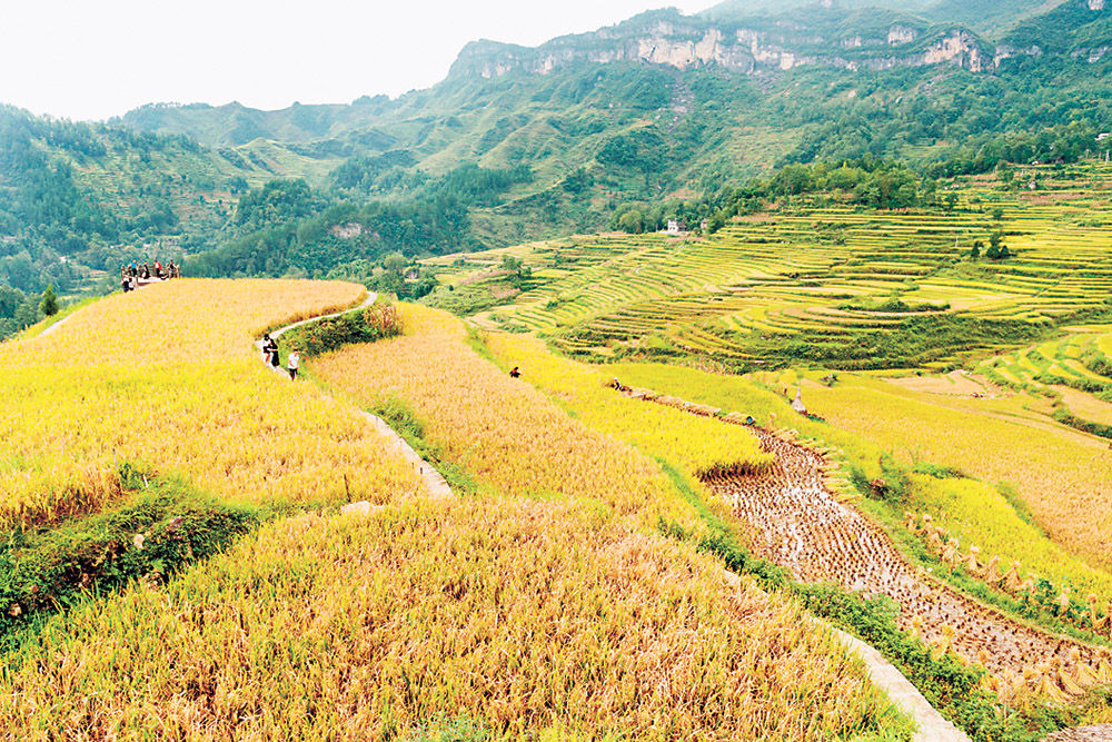 何家岩