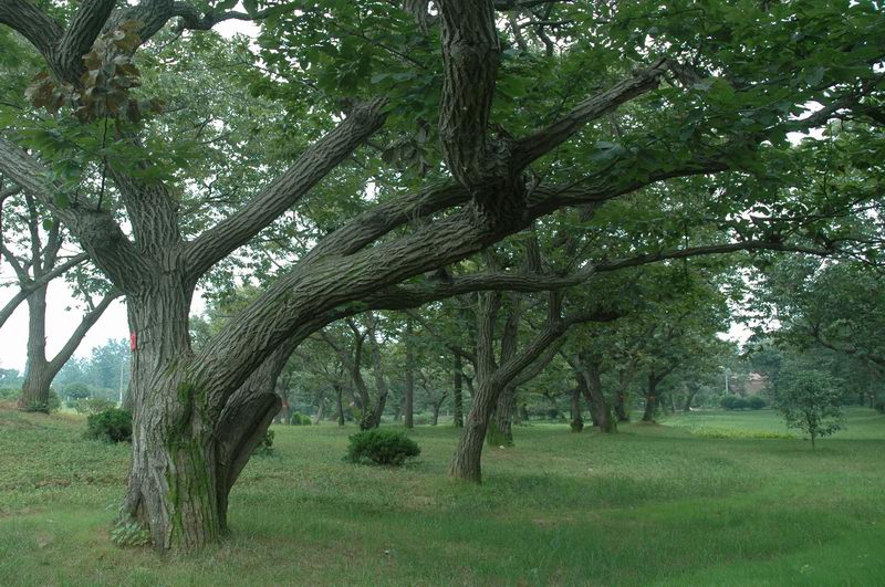 古栗林公園