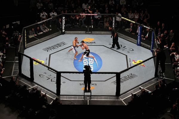 終極格鬥冠軍賽(UFC)