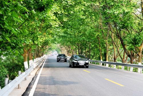 交通便捷，道路四通八達