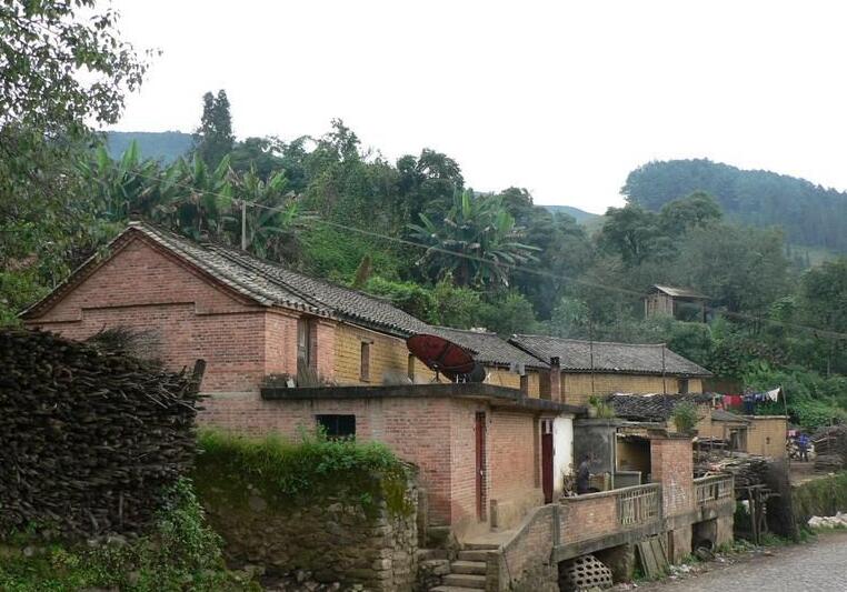 龍樹腳村(雲南省紅河州建水縣坡頭鄉龍樹腳村)