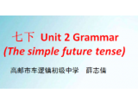 七下 Unit2 Grammar (The simple future tense)