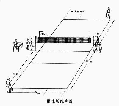 排球規則和場地設備