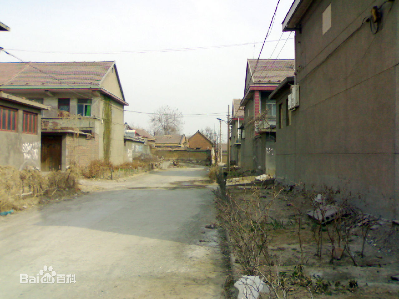 演禮村(山東淄博市淄川區羅村鎮下轄村)