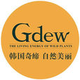 Gdew