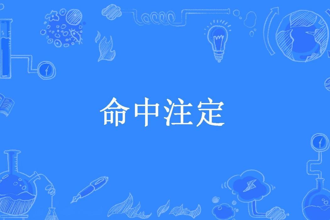 命中注定(18321658884所著小說)