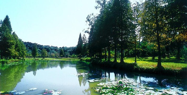 良鳳江森林公園