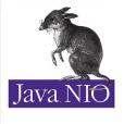 Java Nio