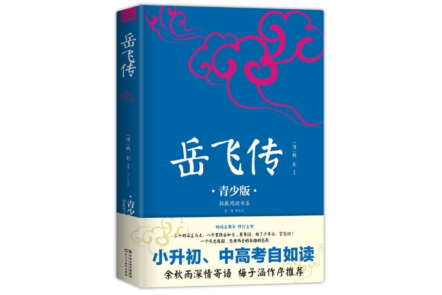 岳飛傳(2017年8月民主與建設出版社出版的圖書)