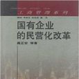 工商管理系列：國有企業的民營化改革