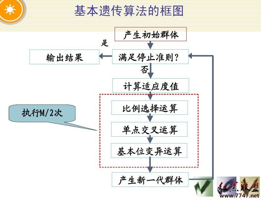 遺傳操作運算元