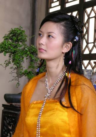 乘龍怪婿