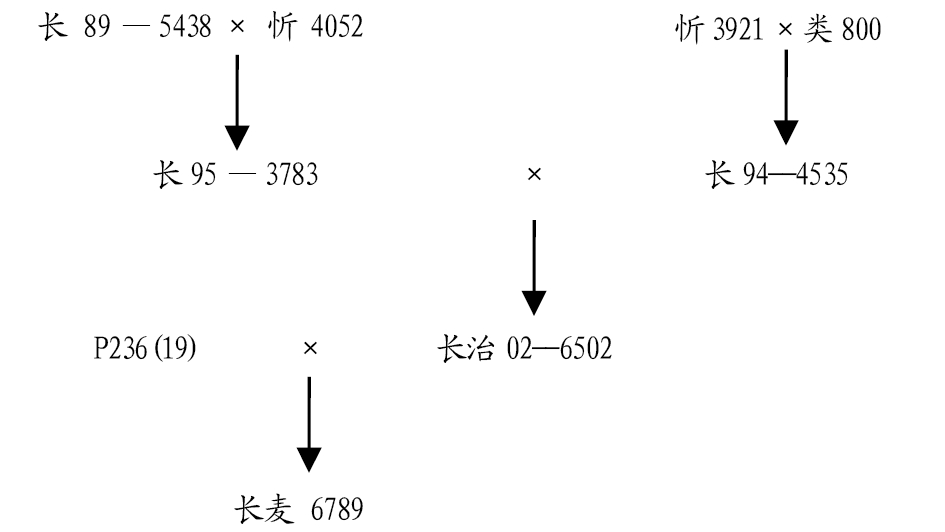 長麥6789