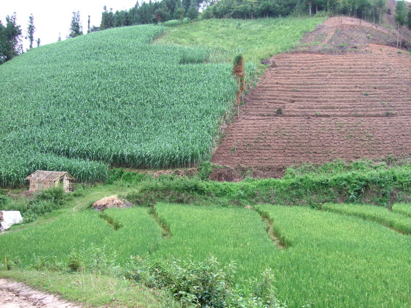 松山一組村