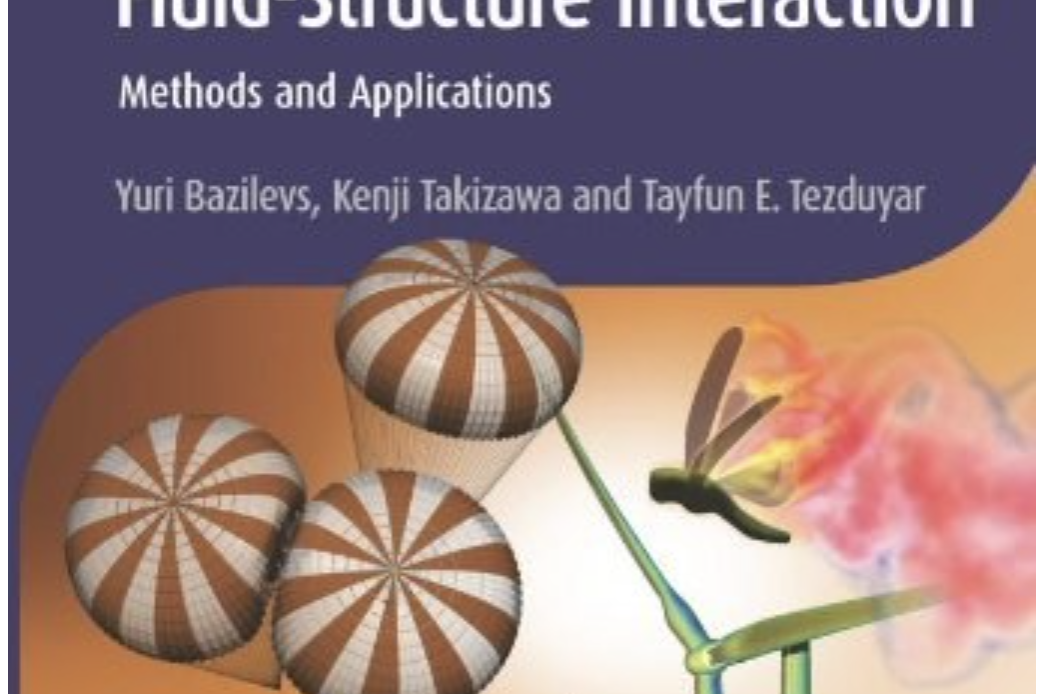 Computational Fluid-Structure Interaction