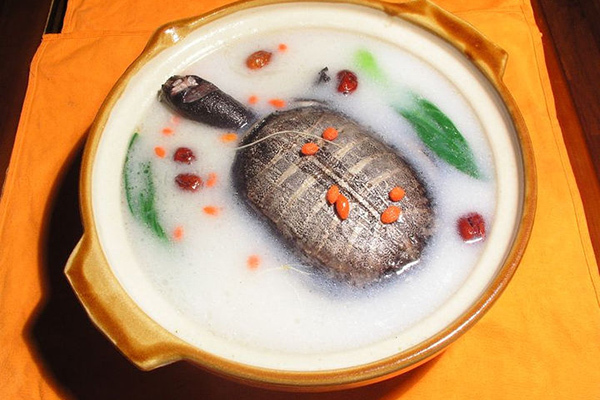 黃芪甲魚湯