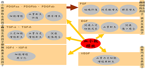 prp自體血液美膚