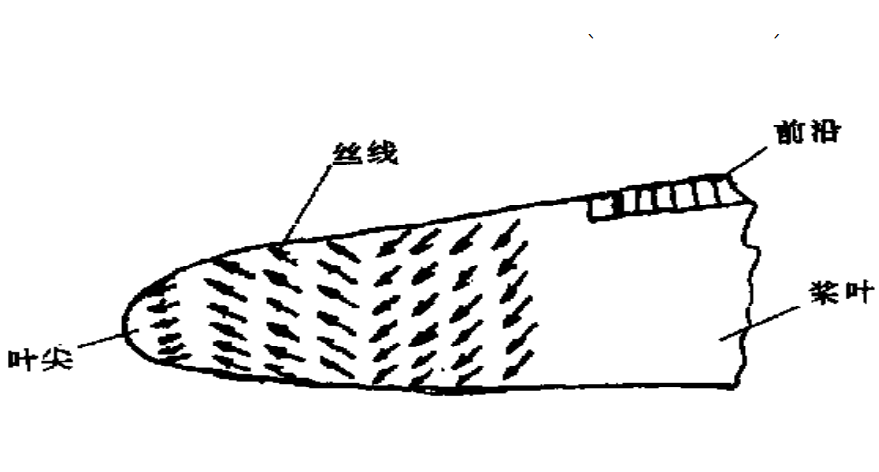 槳葉面尖部區域流譜圖