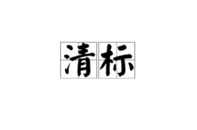 清標(建設工程招投標行業用語)