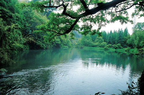 大圓洞國家森林公園