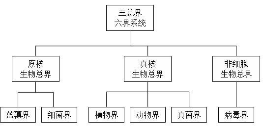 三總界六界系統