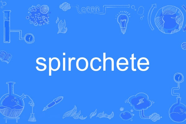 spirochete