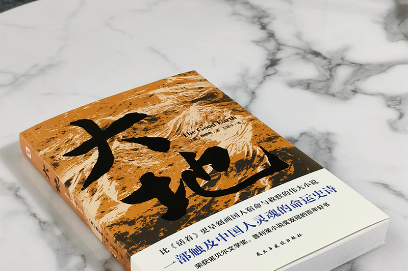 大地(2024年民主與建設出版社出版的圖書)