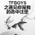 TFBOYS之遇見你是我的命中注定