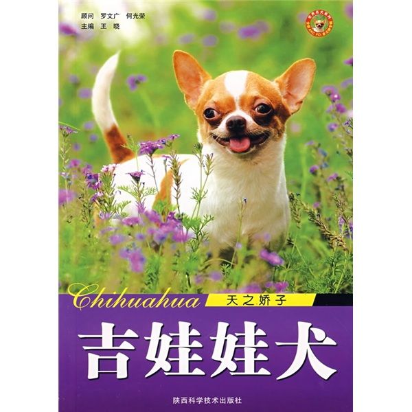 天之驕子：吉娃娃犬