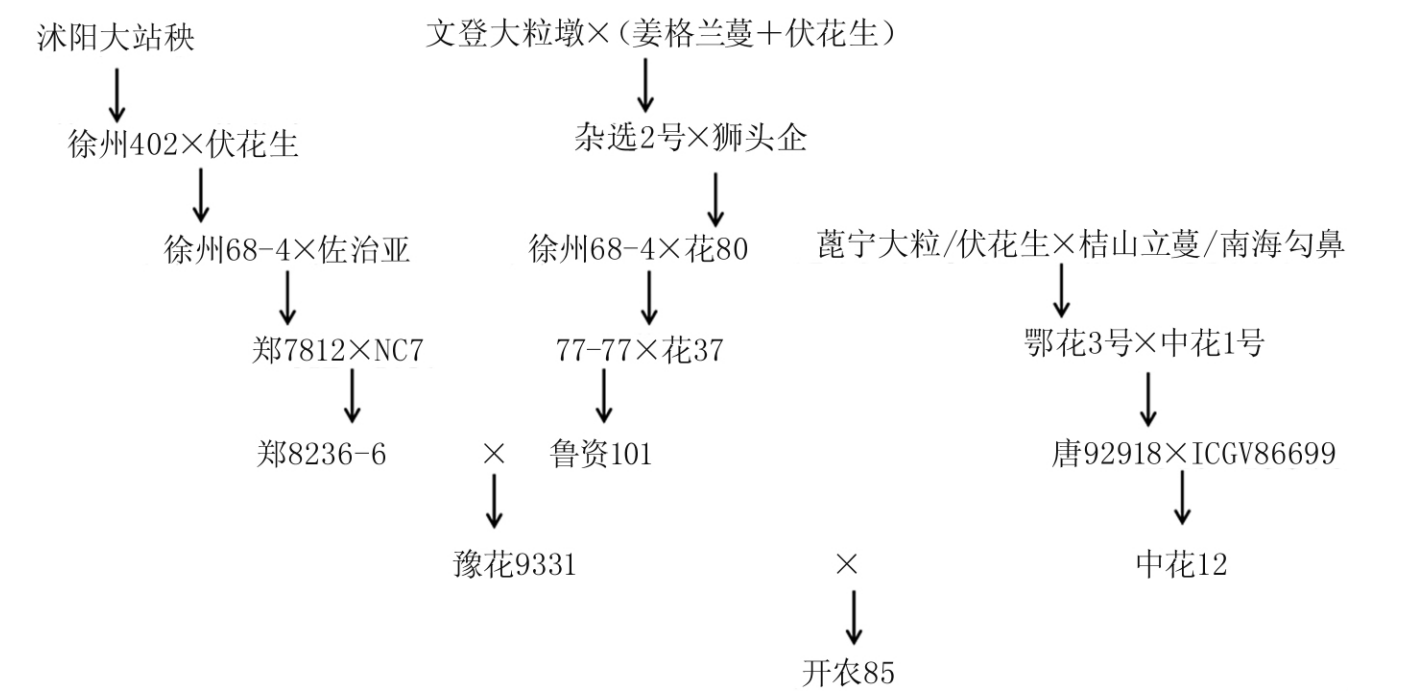 開農85