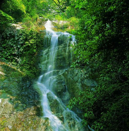 黃崗山(浙江衢州黃崗山)