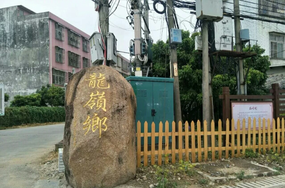 龍嶺村(廣東省揭陽市桂嶺鎮龍嶺村)