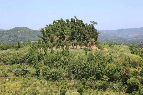 南充市朱德故里景區