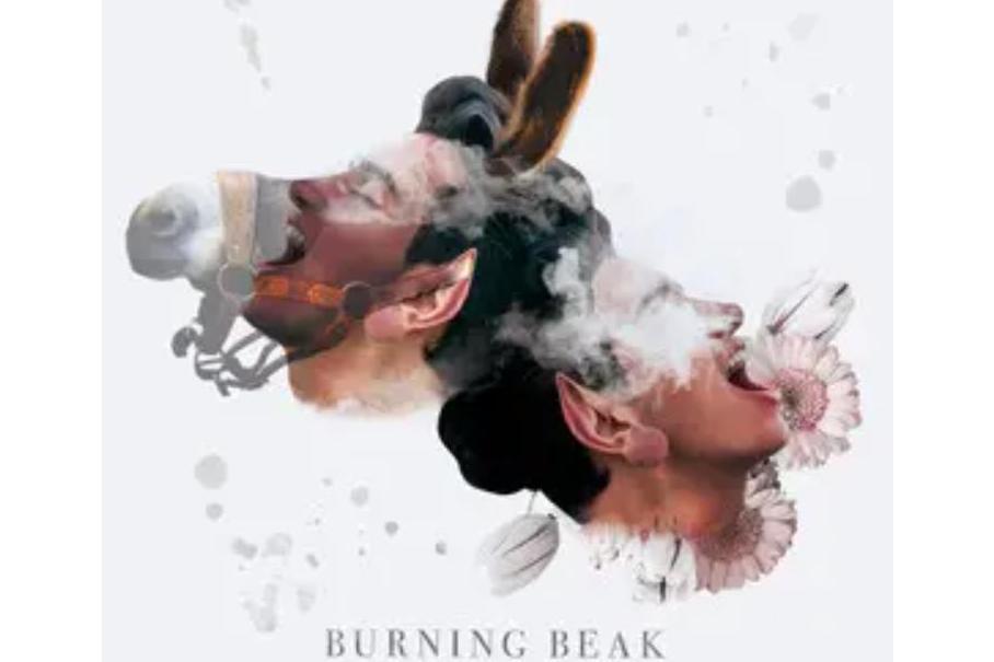 騎驢(Burning Beak《騎驢》專輯中的歌曲)