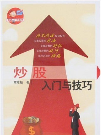 炒股入門與技巧(2008年經濟管理出版社出版的圖書)