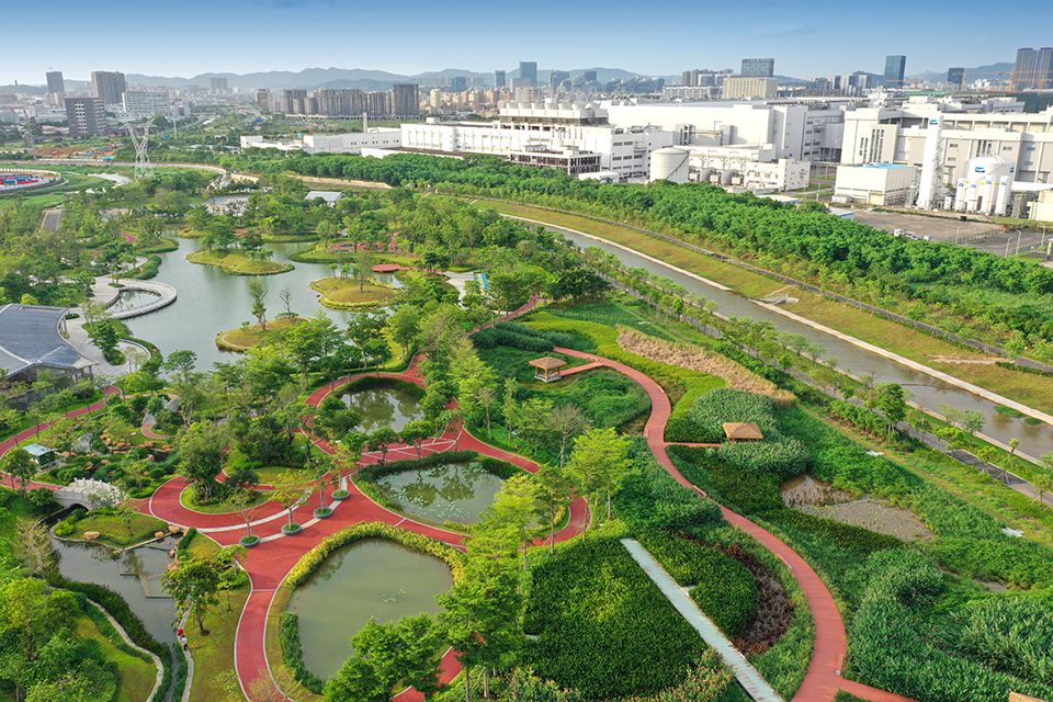 鵝頸水濕地公園