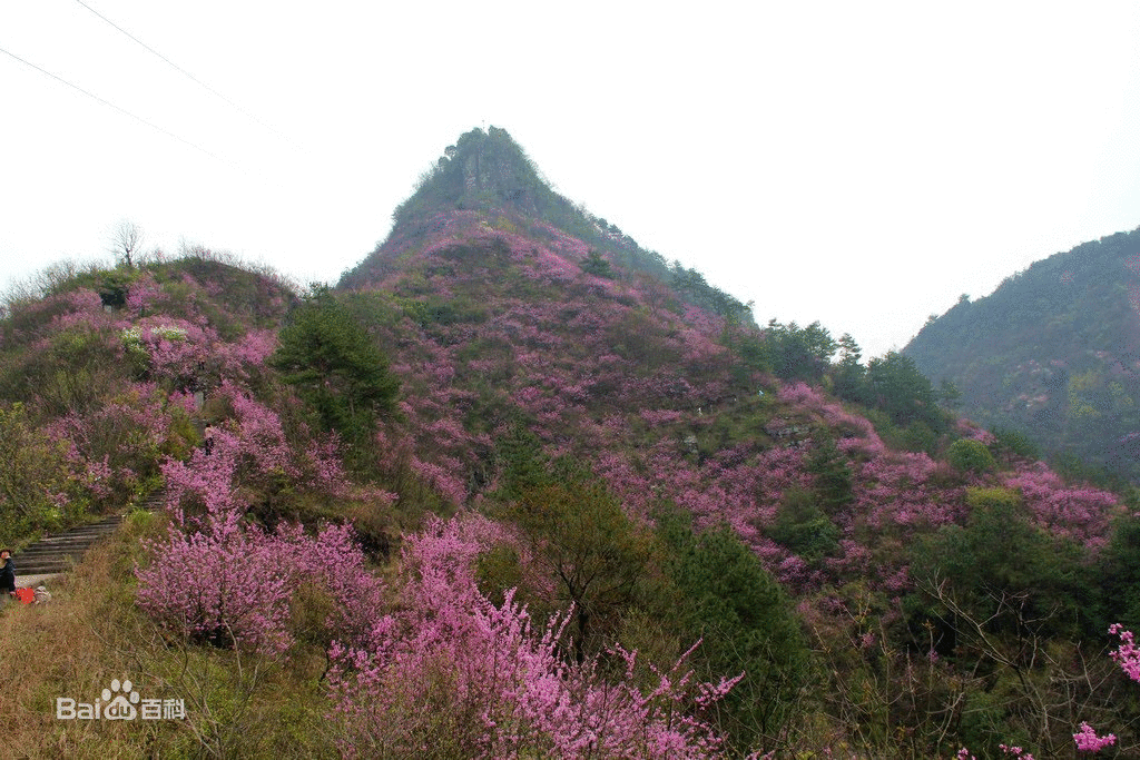 里井村