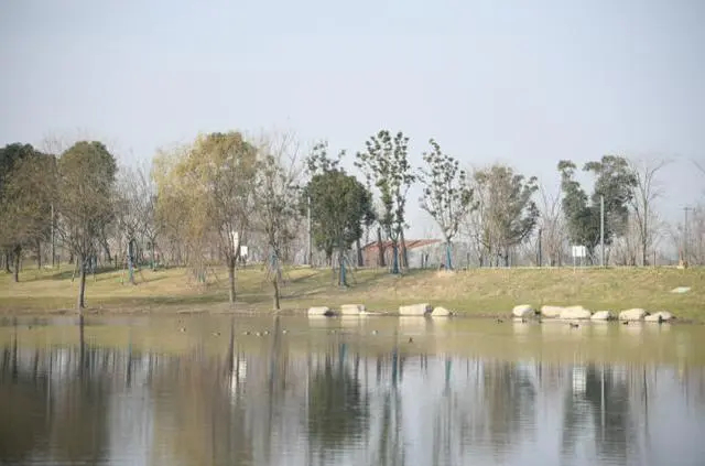 上海濱江森林公園(濱江森林公園)