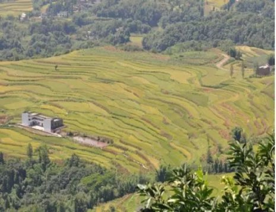 金鐘村(四川省宜賓市敘州區橫江鎮金鐘村)