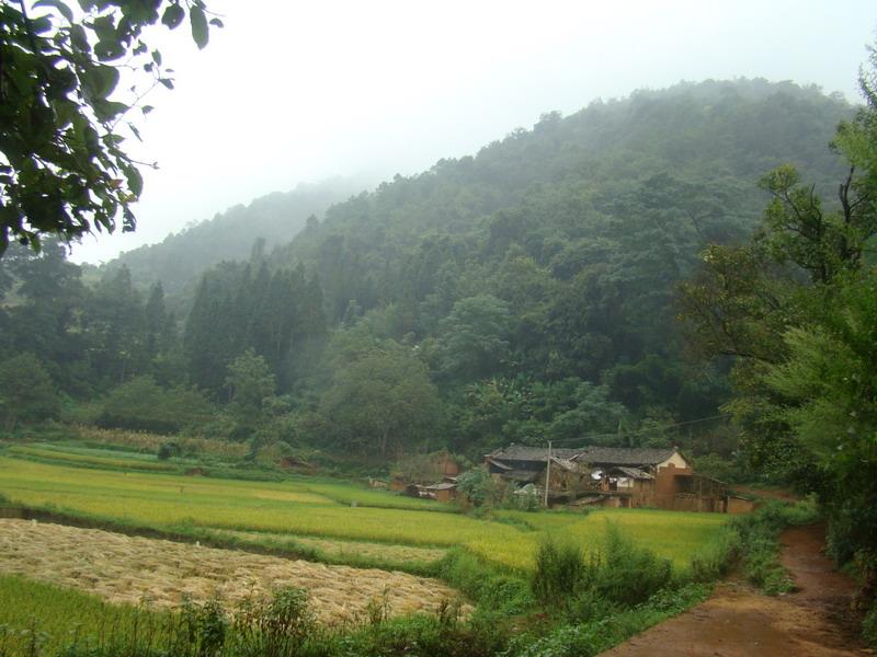 村莊遠景