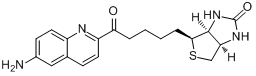 生物素基-6-氨基喹啉