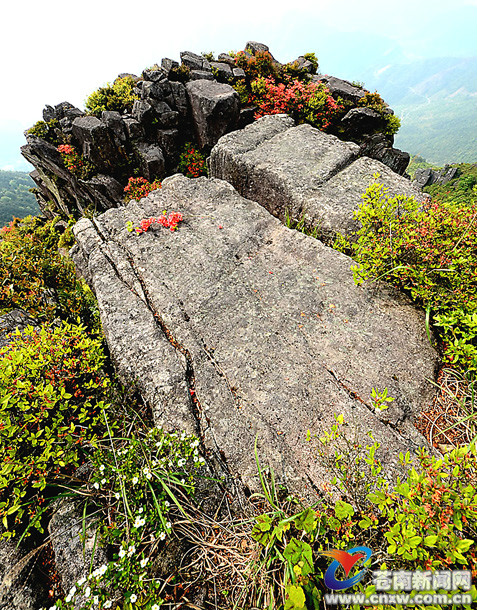 筆架山(浙江省蒼南縣筆架山)