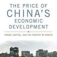 The Price of China\x27s Economic Development