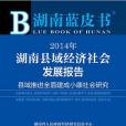 2014年湖南縣域經濟社會發展報告