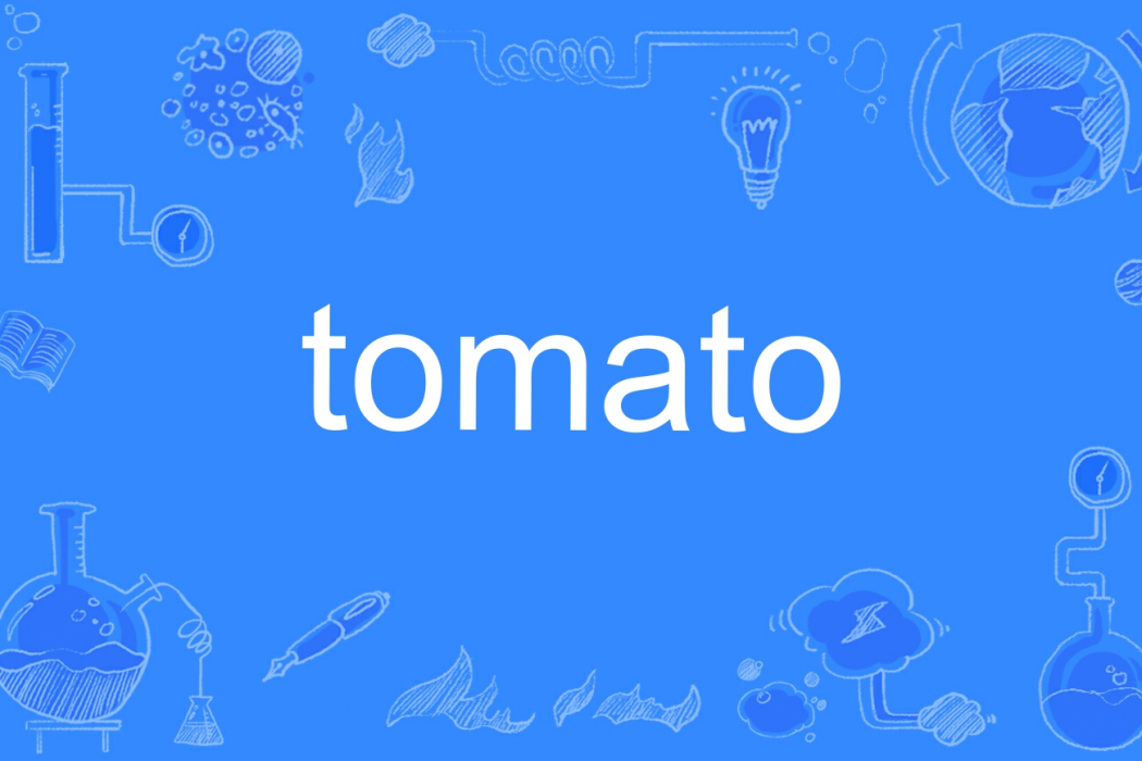 tomato(英語單詞)