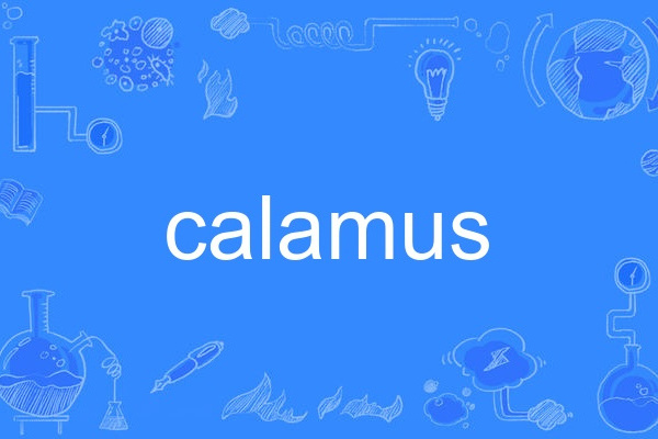 calamus