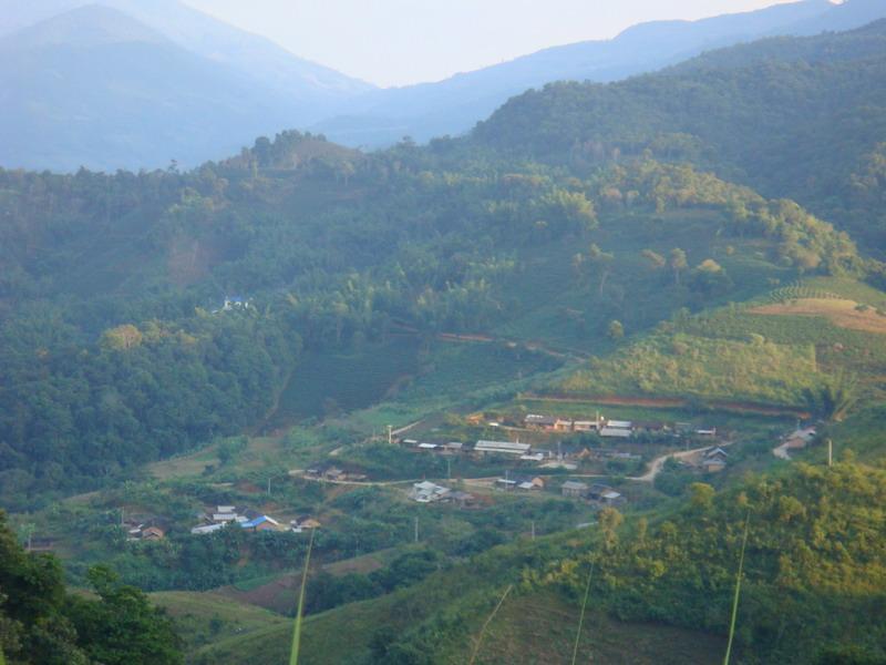 多依樹小新寨村