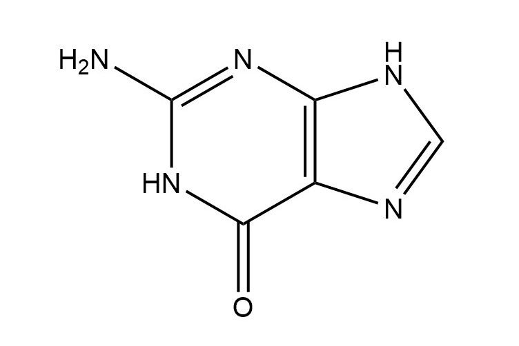 鳥嘌呤(2-氨基-6-羥基嘌呤)