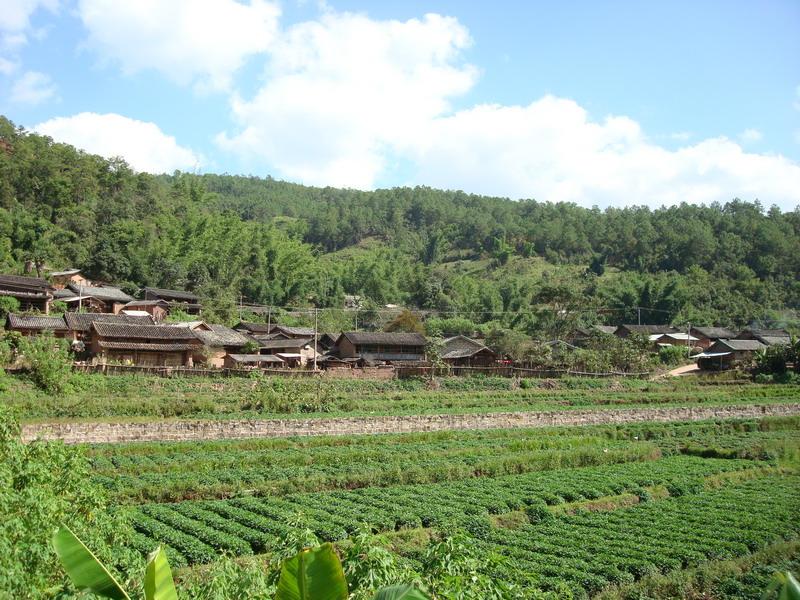 黃草壩自然村(雲南省鳳慶縣雪山鎮下轄村)