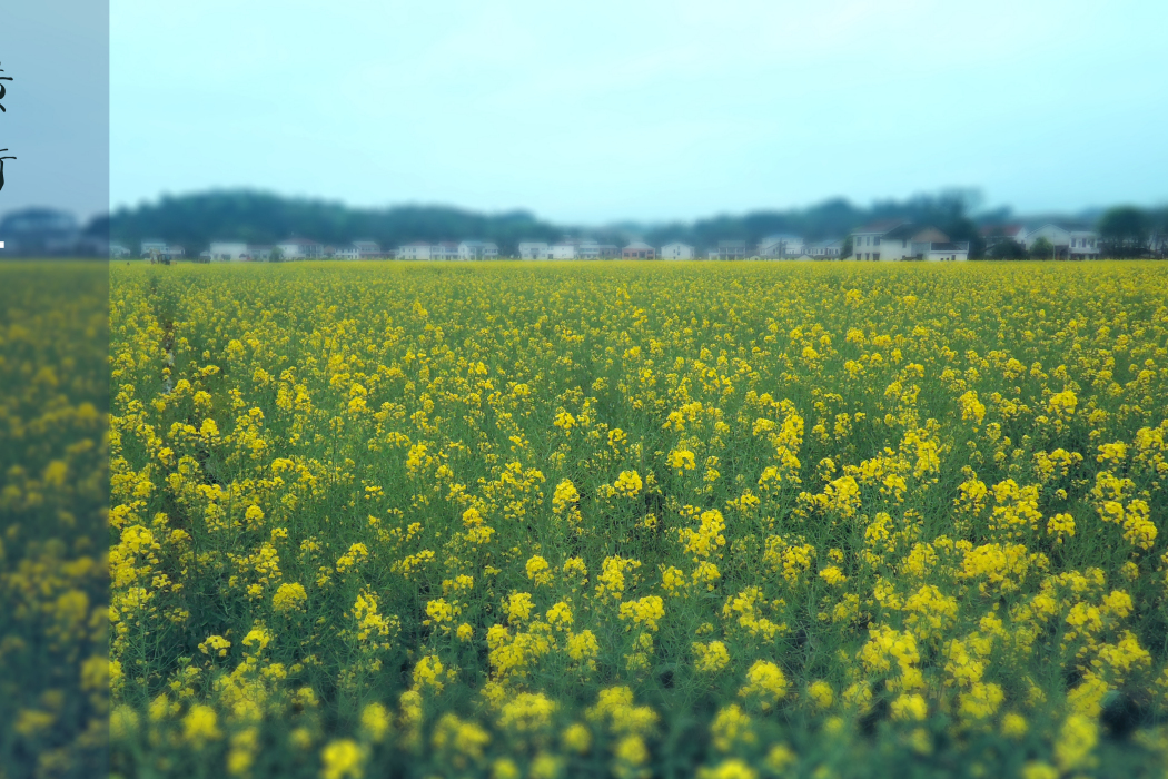 平江橫衝村